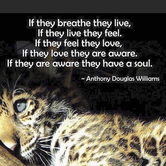 🐾WELCOME FURRY FRIENDS Garden or Wall Flag, NWT - Picture 14 of 14